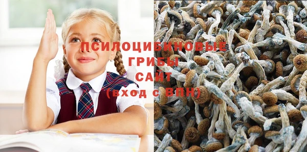 стафф Арсеньев