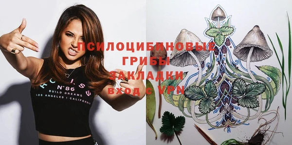 круглые Алзамай